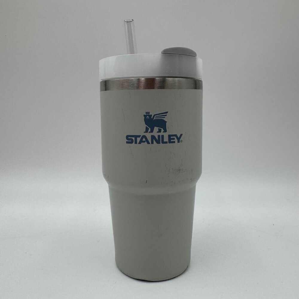 Stanley Insulated Stainless Steel Grey 20oz Cup with new Straw - Picture 1 of 8